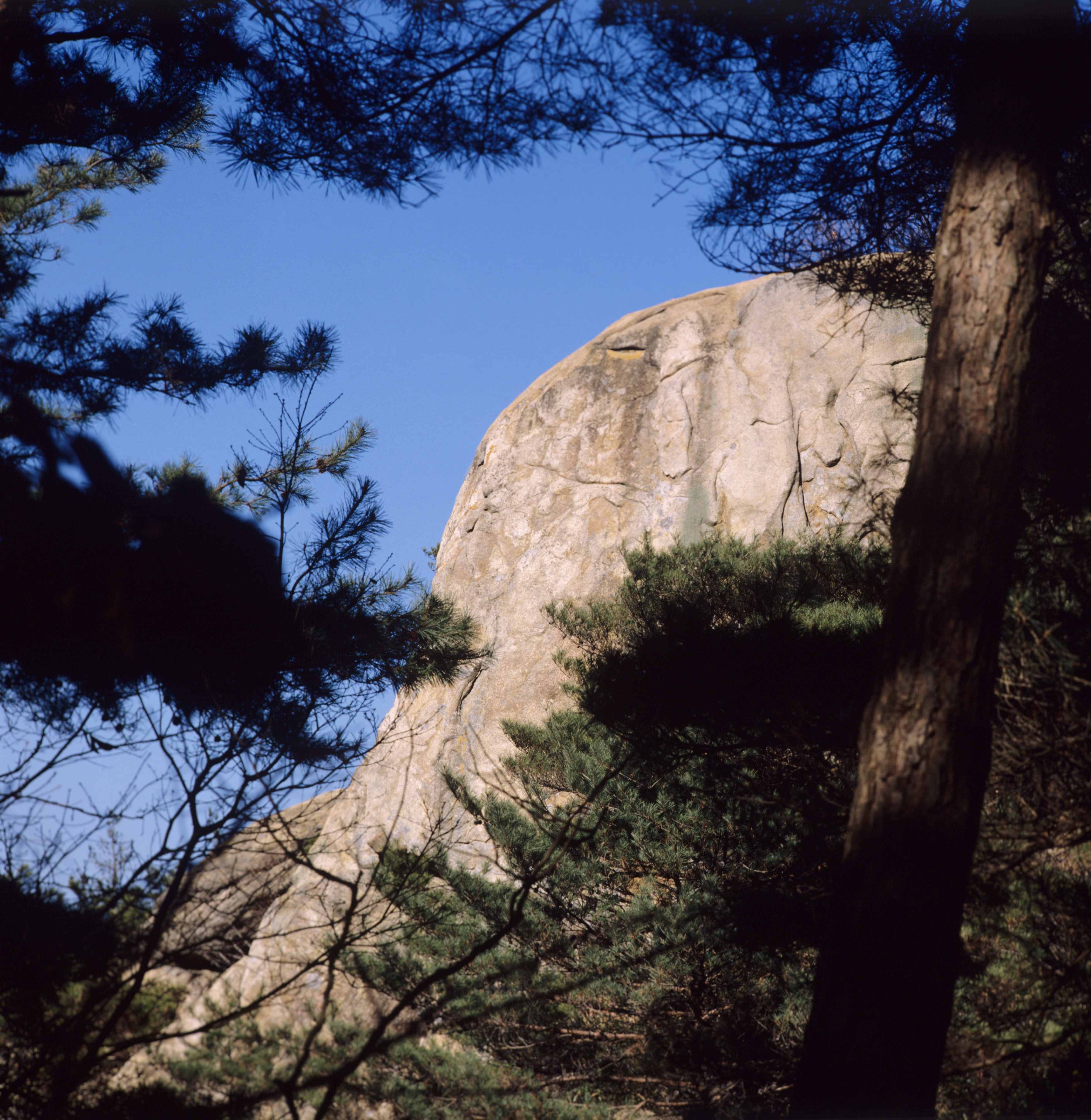 유적_187_경주남산_삼릉계-선각마애불 전경_경상북도_2000_경주_제1유형.jpg이미지